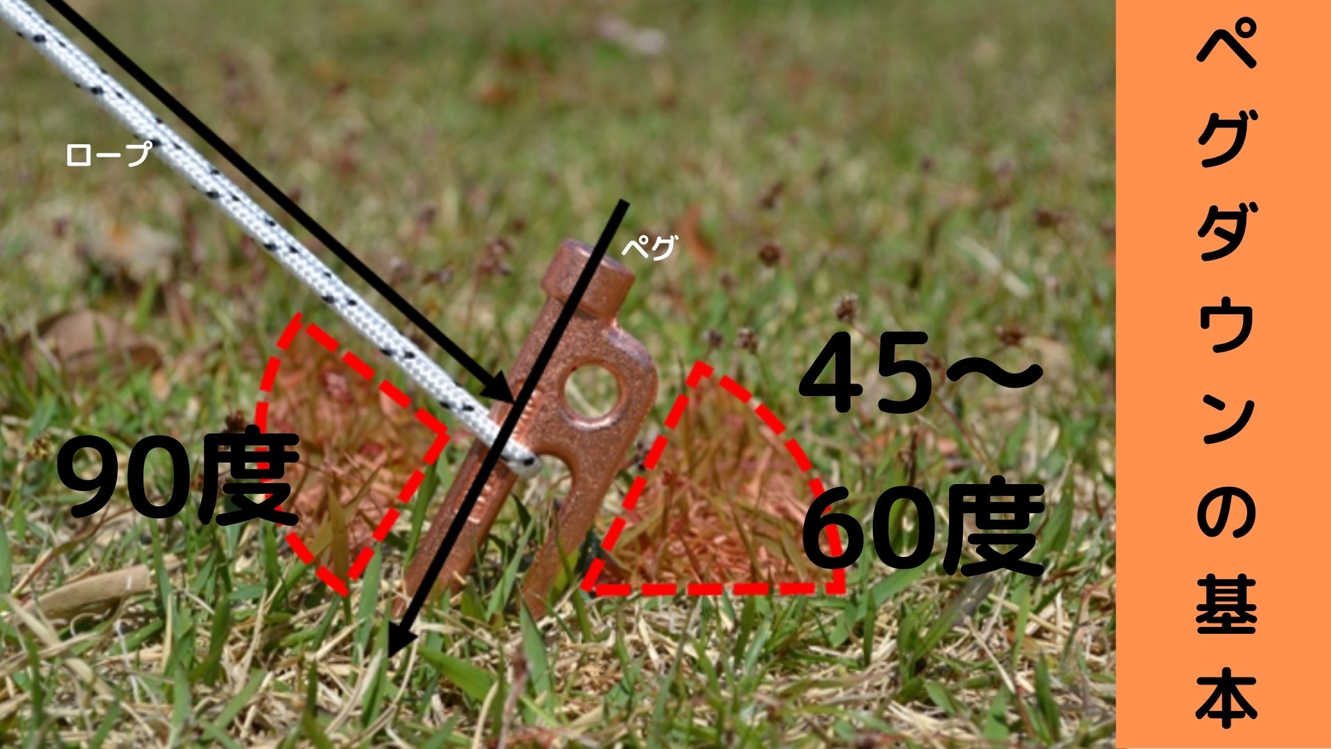 ペグの正しい打ち方・抜き方を覚えよう！注意点も解説 – WAQ公式オンラインストア