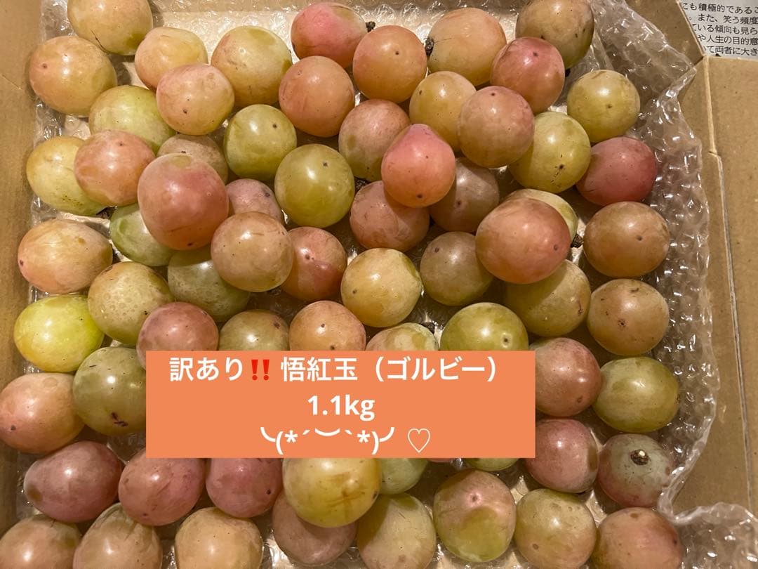 悟紅玉 旧ゴルビー とは？希少なぶどうを手に入れる方法を紹介食・料理オリーブオイルをひとまわし