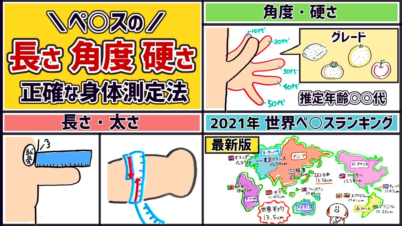 みんな気になるペニスサイズ 日本人の平均は何センチ？図り方はこれだ！ |