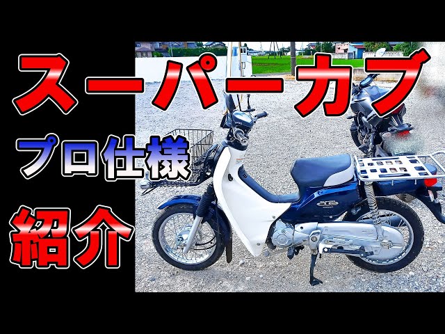 ホンダ スーパーカブシリーズの種類について解説！特徴や違いはどんなところにある？Bike Life Labバイク王
