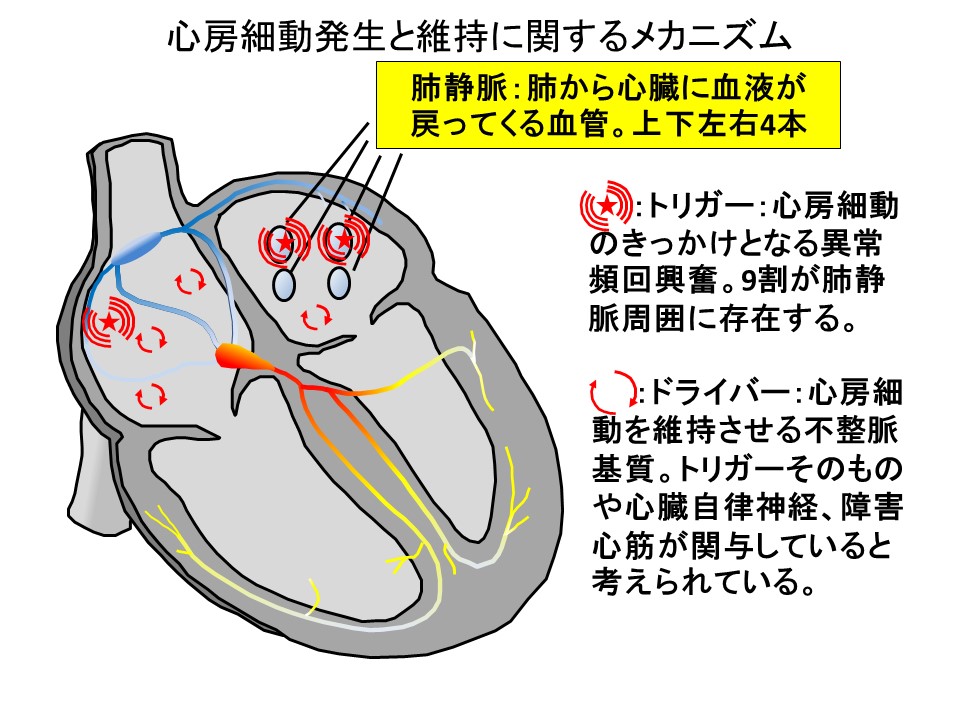 図解]古物商の許可が必要かどうかの判断基準 ｜ショシナビ古物商マガジン