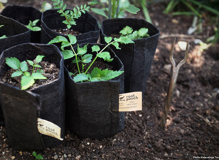 ルーツポーチ root pouch 持ち手あり
