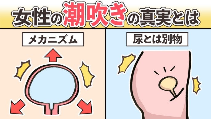 女性が自分の「潮吹き」をどう思っているか調査した研究！｜ニフティニュース