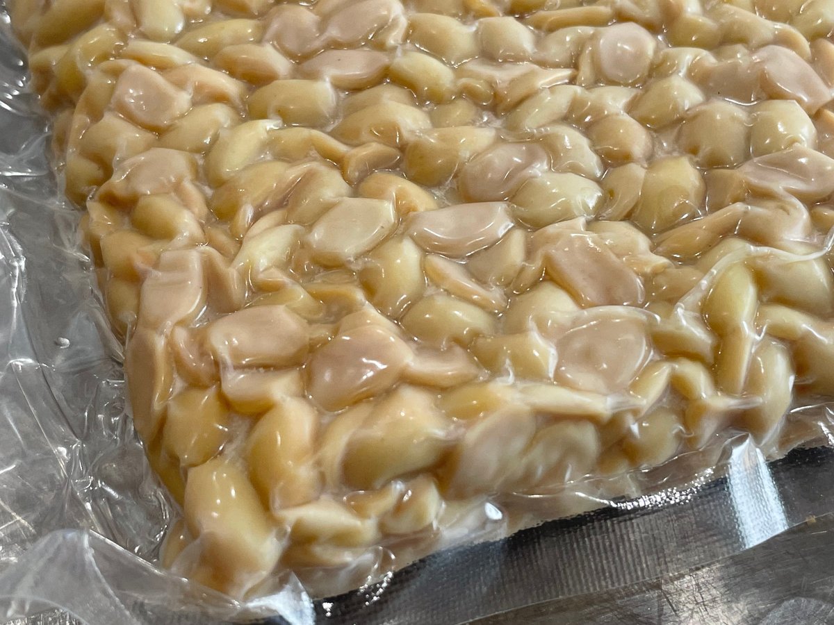 業務スーパー 大人も子どももハマるインドネシア食材「テンペ」。本場の食べかたをご紹介します。サンキュ