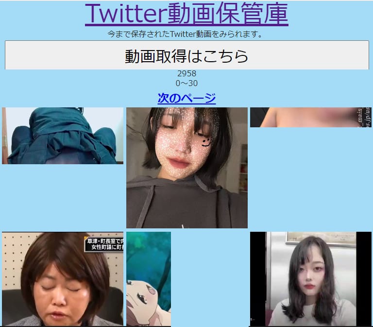 2024年12月最新】Twitter（X）動画保存ランキングサイトTop13！24時間の話題動画まとめ！