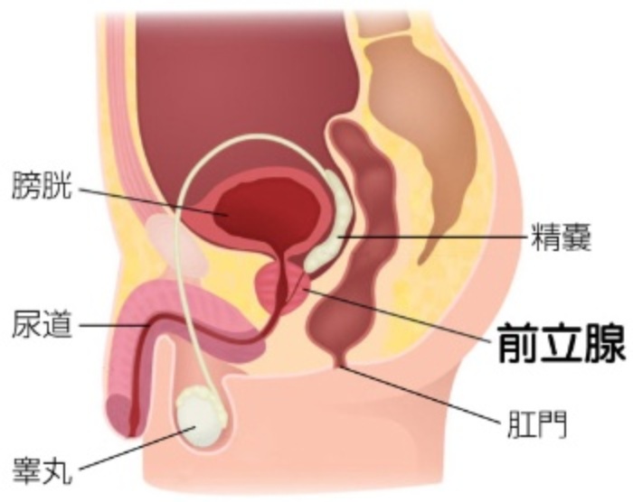 アナルが苦手なウケに贈る「アナルセックス」で気持ちよくなる方法