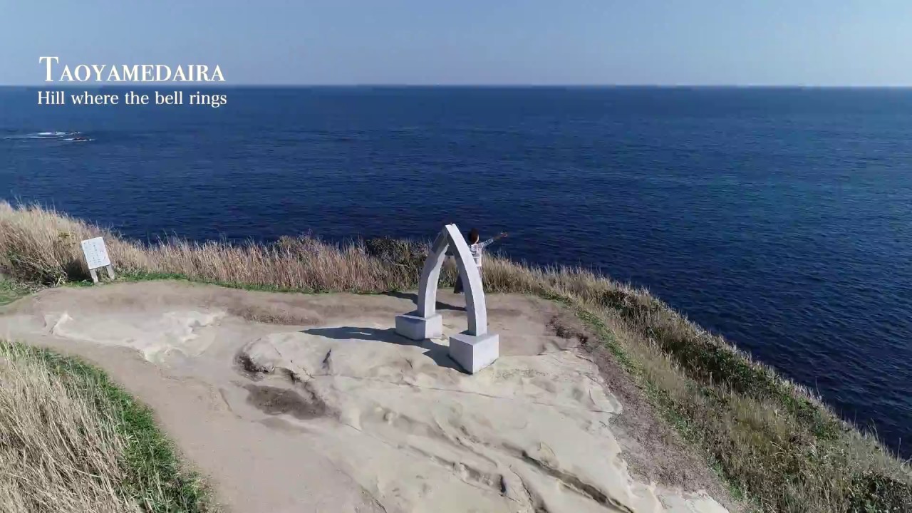 勝浦 市 観光 協会TikTok