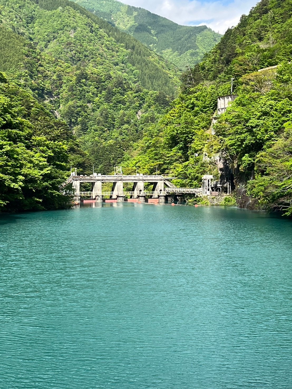 川根本の大間ダム湖周辺のホテル【2024おすすめ旅館・宿】 | Trip.com