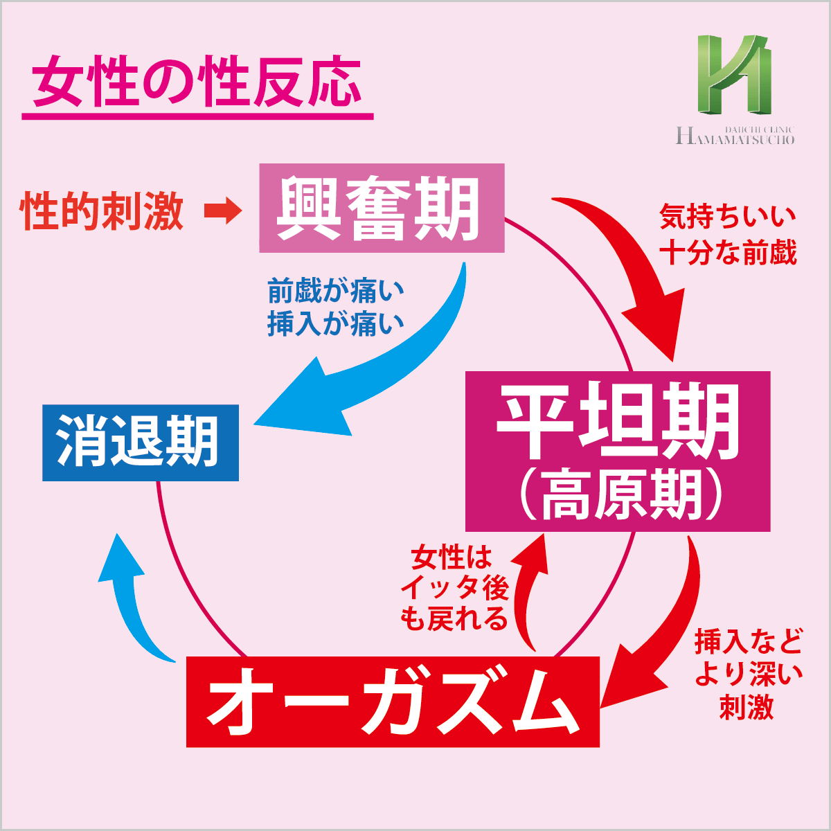 デンジ君 エッチな事はね 相手のことを理解すればするほど気持ち良くなると私は思うんだ