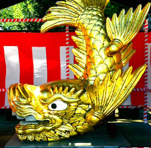 ＳＨＡＣＨＩＨＯＫＯ ＳＯＮＩＣ ｉｎ 名古屋城 シャチホコソニックインナゴヤジョウチケットぴあ 音楽J-POP・ROCKのチケット購入・予約