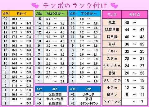 日本人のペニスサイズ調査～調査の方法 | 男性生殖器マニア