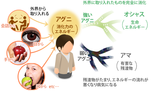 Web ウェブ とは？初心者でも分かる意味を解説しますマーケトランク