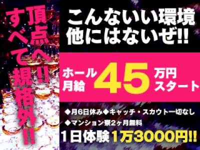 新宿・歌舞伎町のセクキャバ（おっパブ）・いちゃキャバ求人情報｜【ぱふきゅー】