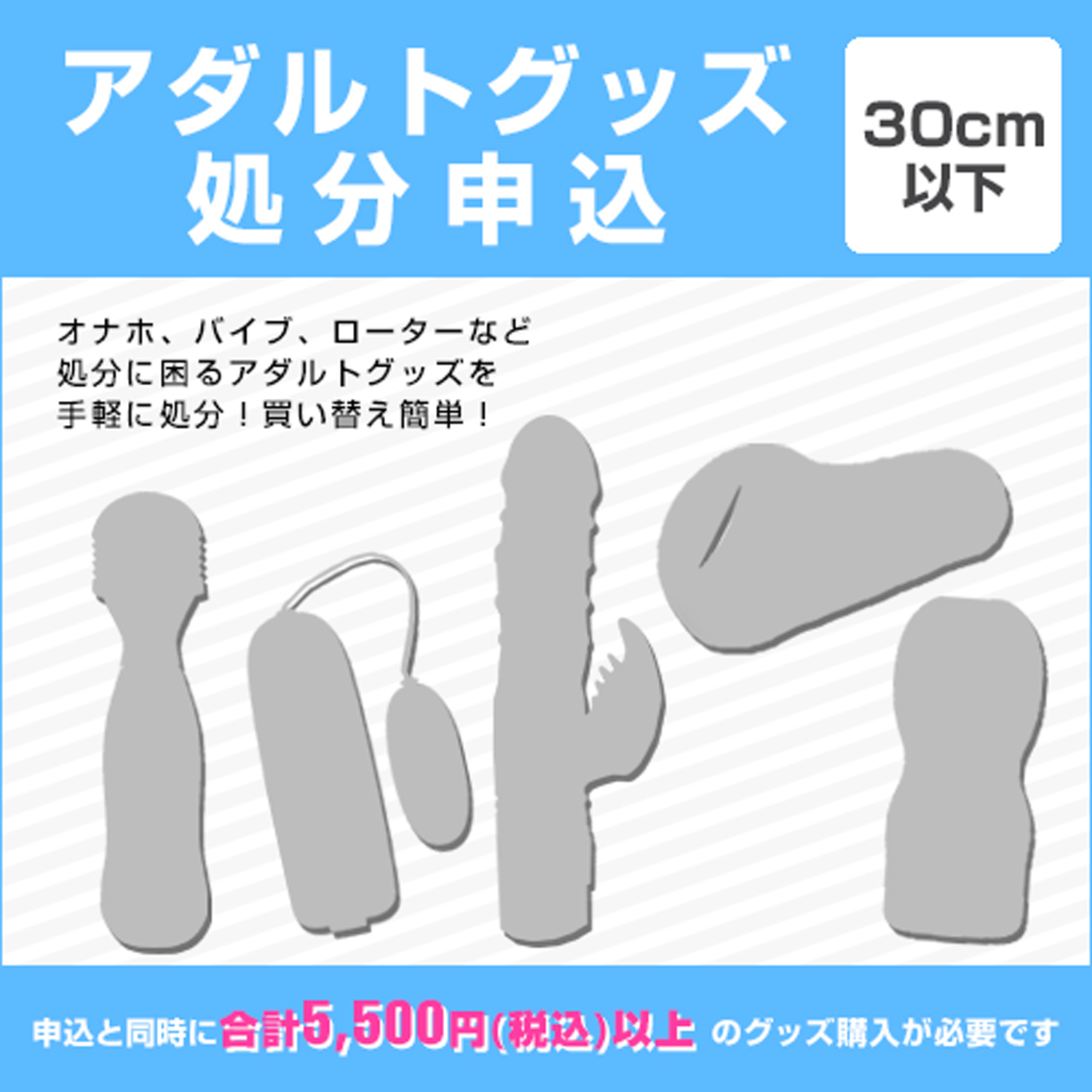 年内受付11/15迄】大人のおもちゃ(ホール・ドール・バイブ等)不用品 処分サービス / ホットパワーズ