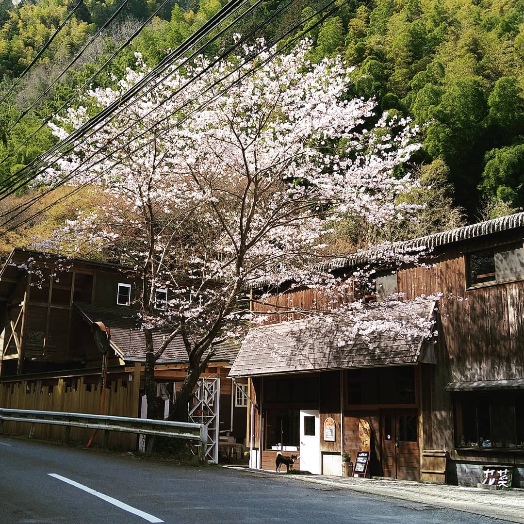 Hanana ハナナ おに工房大阪・和歌山のおでかけ情報otent おてんと