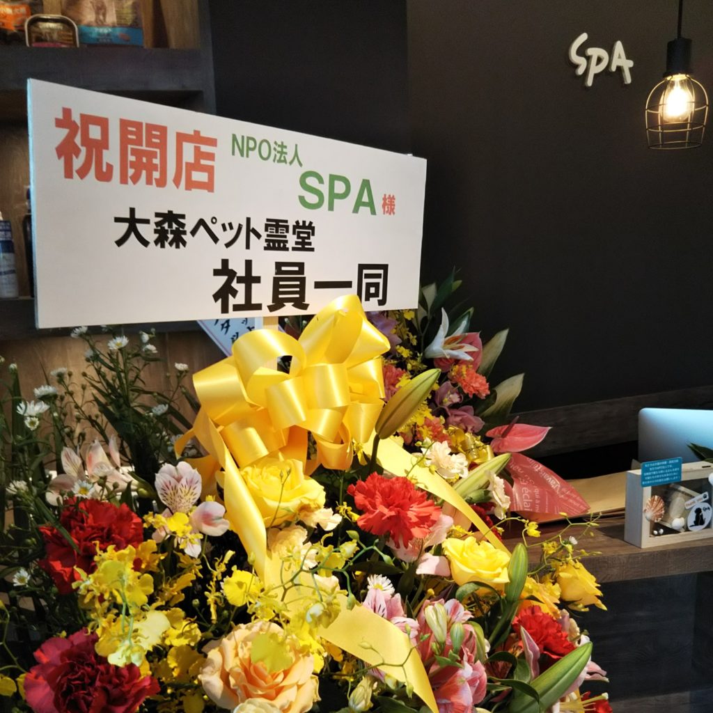 NPO法人SPA | 日頃より、SPA大森店をご利用くださり、誠にありがとうございます。