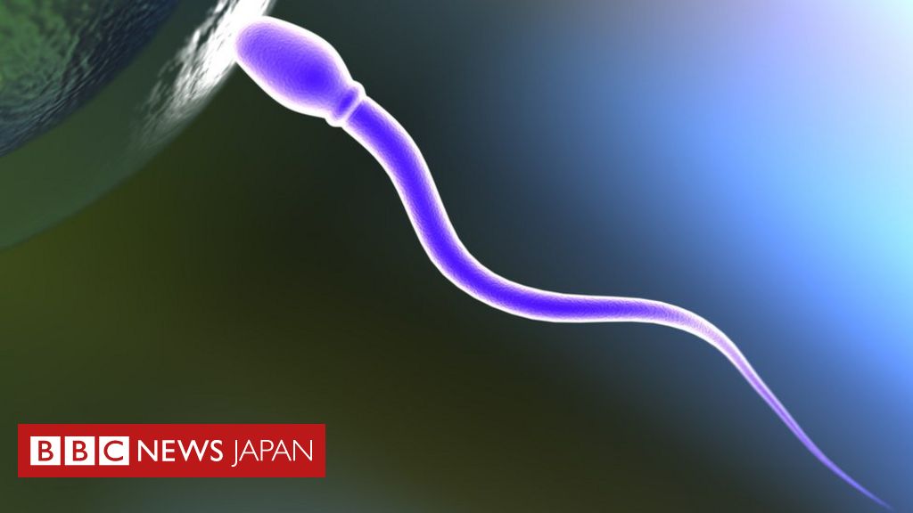 タコの白子を熱湯に入れると中から大量の精子が出てくるらしい！！