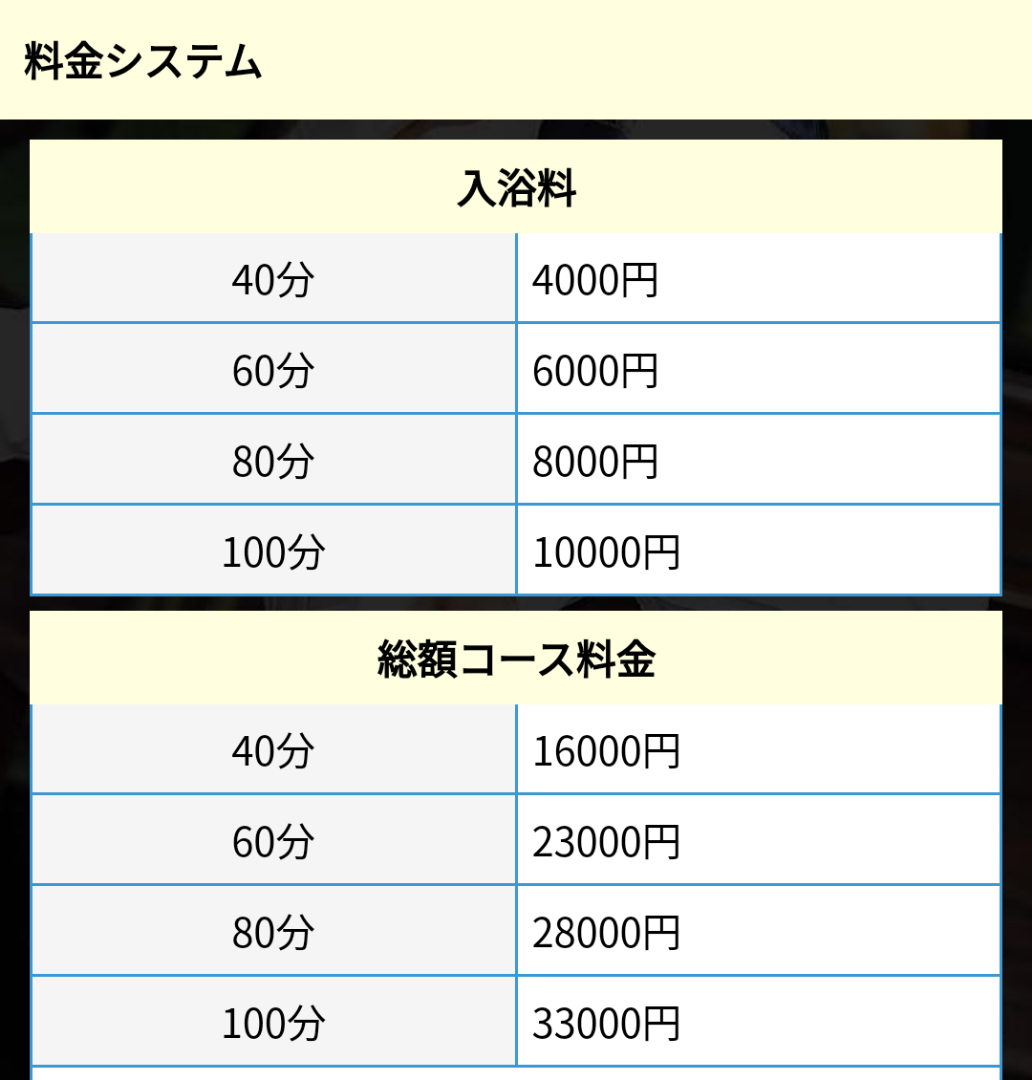 コナミデジタルエンターテインメント 秘書コレクションビジュアルブック (帯付)