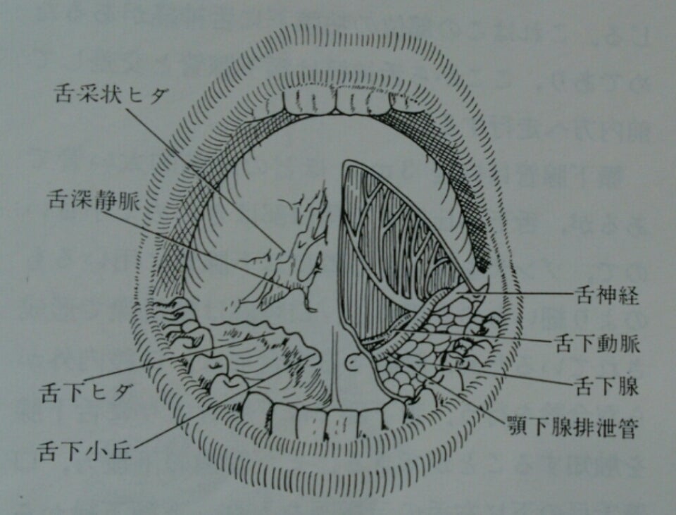 舌やお口の中のできもの 黒いできもの - 熊本