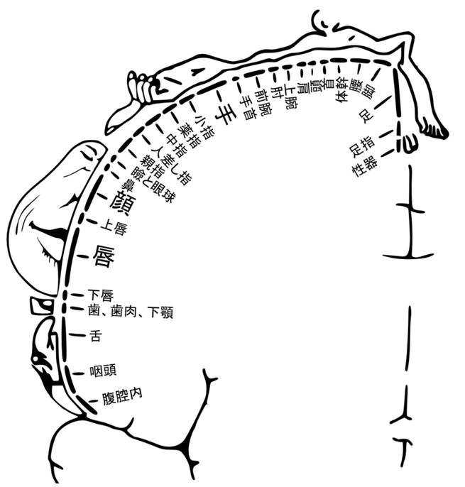 無料ボイス有】乳首開発にハマった同僚彼氏 〜乳首なんかで感じるわけないだろっ!〜 |