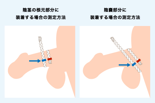 短小包茎とは！短小は何センチから？日本人の平均サイズや治療法 - アトムクリニック - atom-clinic