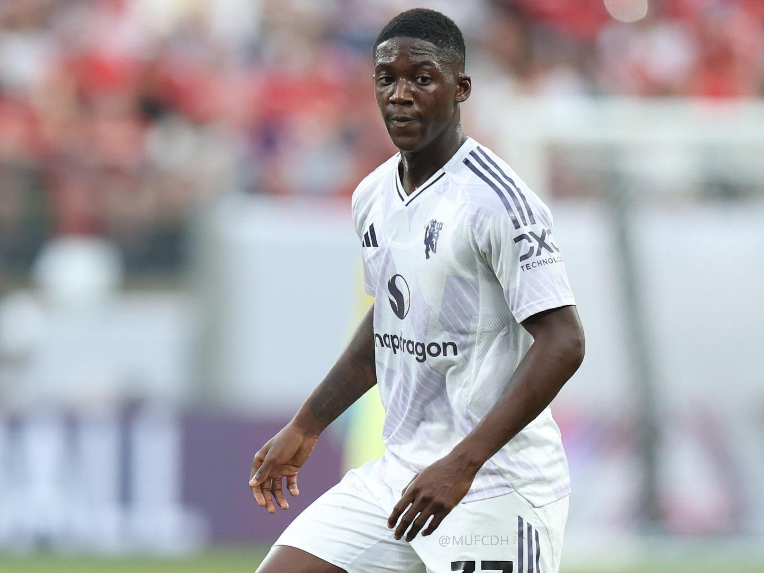 マンU、今夏のMFバレバ獲得を断念か ブライトンが“カイセド級”の移籍金を要求？2025年8月16日- エキサイトニュース