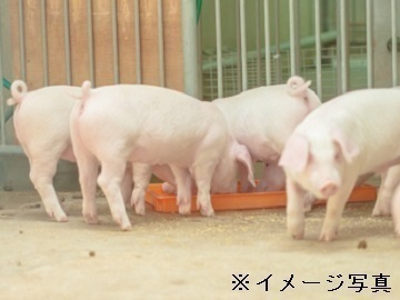 青森県/上北郡六戸町のアルバイト・派遣・転職・正社員求人 - 求人ジャーナル