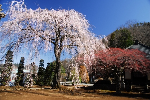 ビジネスホテル芽桜 の地図、住所、電話番号 - MapFan