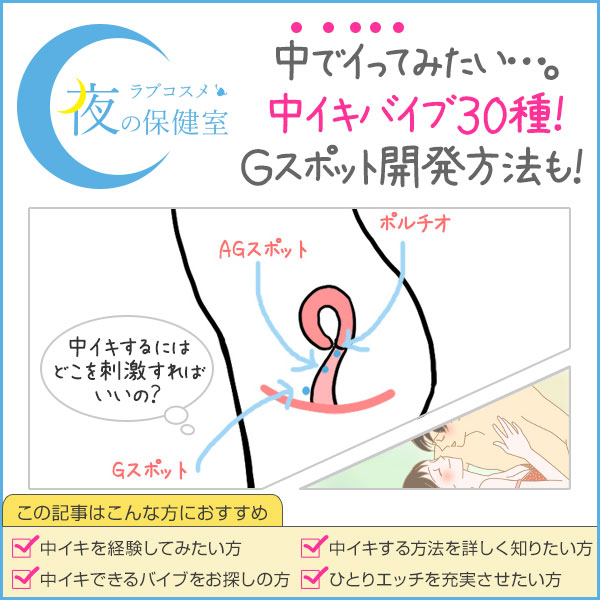 Blog】 SVAKOMバイブを4種類レビュー！Gスポット直撃で中イキ開発にぴったり！ –