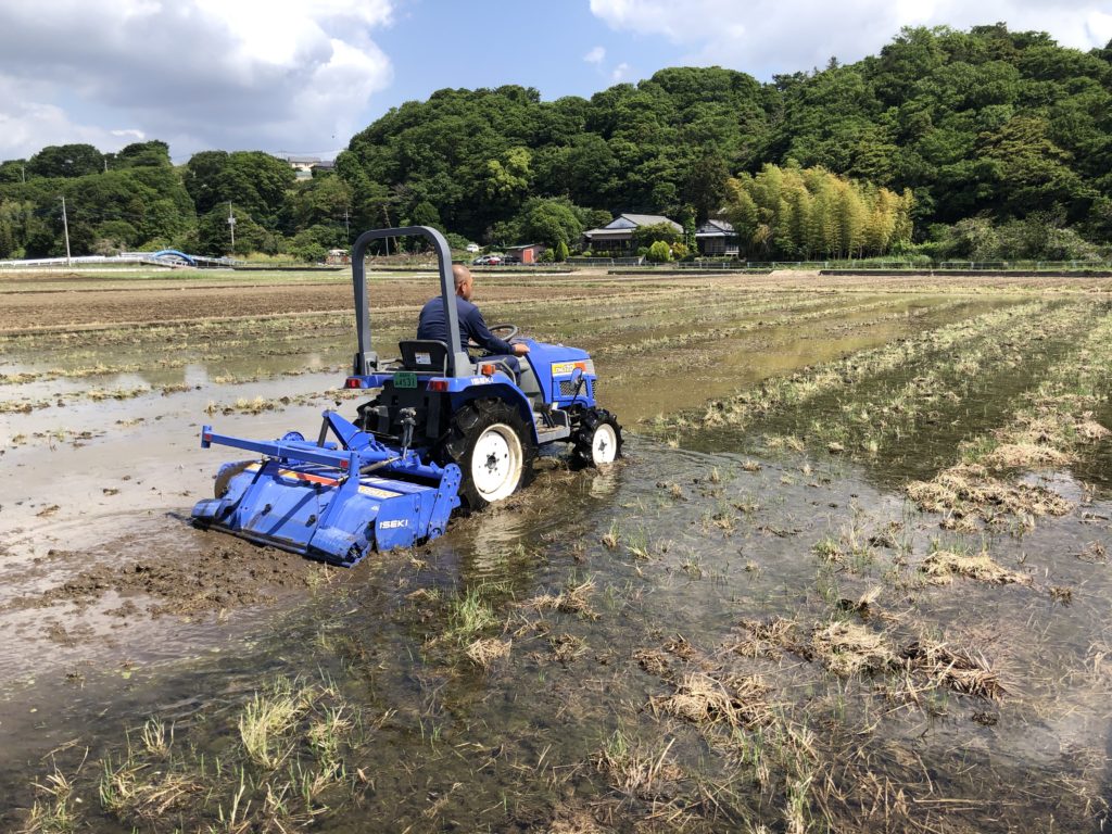 代掻きイラスト無料イラスト・フリー素材なら「イラストAC」
