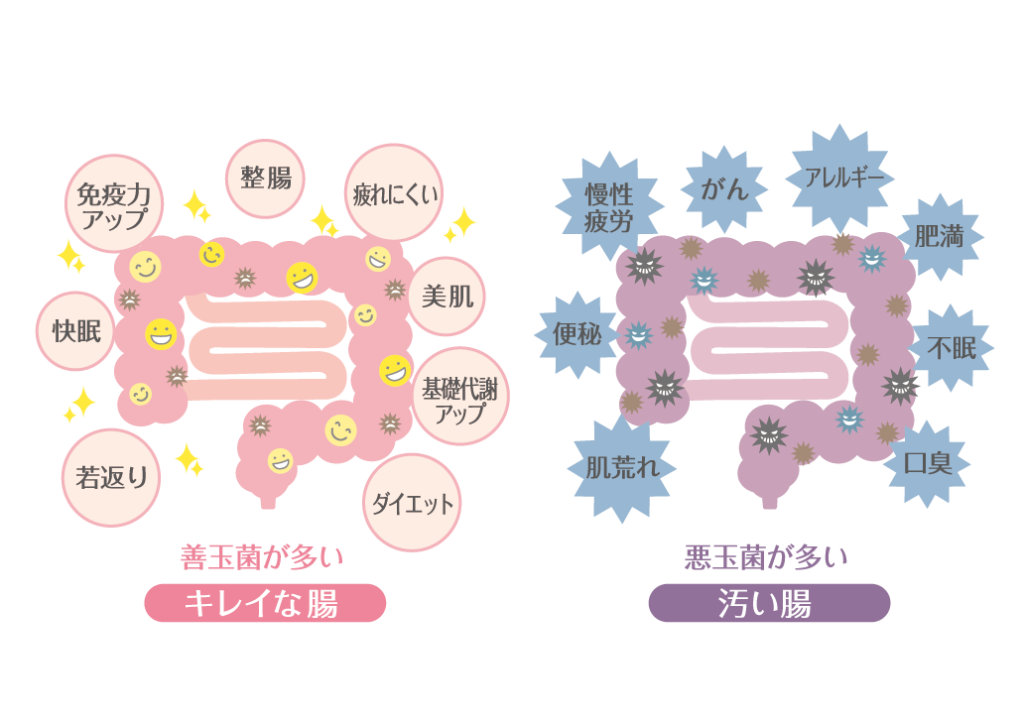 大正製薬 新ビオフェルミンS錠 (540錠)