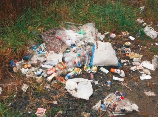 タバコのポイ捨てで警察に通報されると逮捕される⁉法律から見た効果的な対策を解説法律問題を弁護士が語る