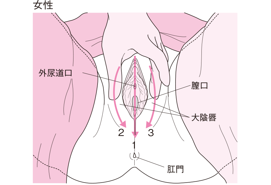 介護職が行う陰部洗浄の方法と注意点について｜NDソフトウェア(株)介護システムで業務効率化「ほのぼの」