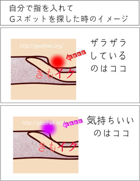 【完全版】女性が最も感じやすい性感帯の刺激方法３選