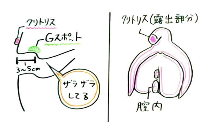 対面座位のやり方を画像で解説 | 実は深い挿入ができて中イキしやすい？ ｜ iro