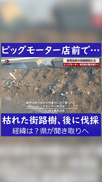 ビッグモーターが除草剤を撒いてると聞いて、全国263店舗を調べた結果まとめ 環境整備 aosagi