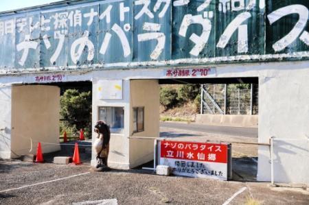 野母崎水仙之里公園