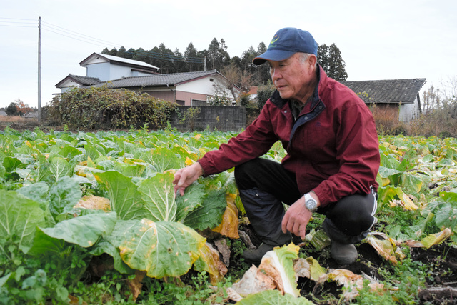 南一番街・飯田町で「ちゃんこ鍋」のあるお子様連れのお店 | ホットペッパーグルメ