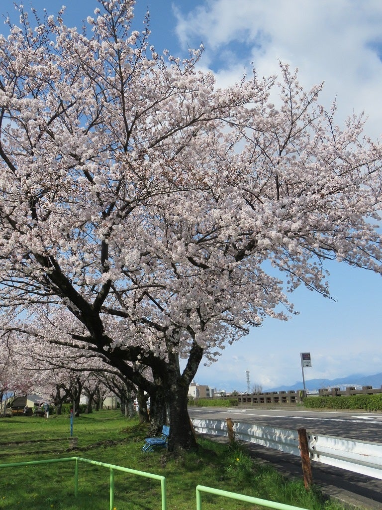 桜蔭 あと1ヶ月 やり込み教材 第3位 四谷大塚