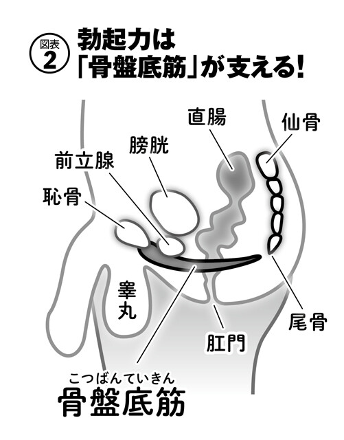 キミのガマン顔ずーーーっと見ててあげる。」小悪魔女子の見つめあい射精管理ビデオ 香椎佳穂 電子書籍