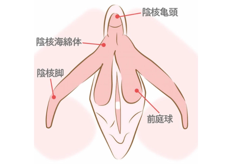 まんぐり返しとは？恥ずかしいけど刺激が欲しい人に気持ちいいやり方と楽しみ方を徹底解説｜風じゃマガジン