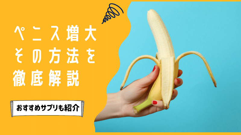 日本人の平均ペニスサイズはこれだ！ 全体の長さ：平均13.56cm 亀頭の直径：平均3.53cm