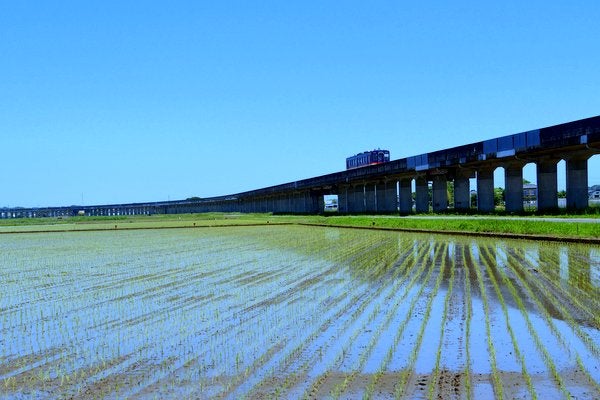 鹿島臨海鉄道大洗鹿島線常澄駅 (下り・上り) - 構図勝負の撮影地ガイド＠うぇぶろぐ