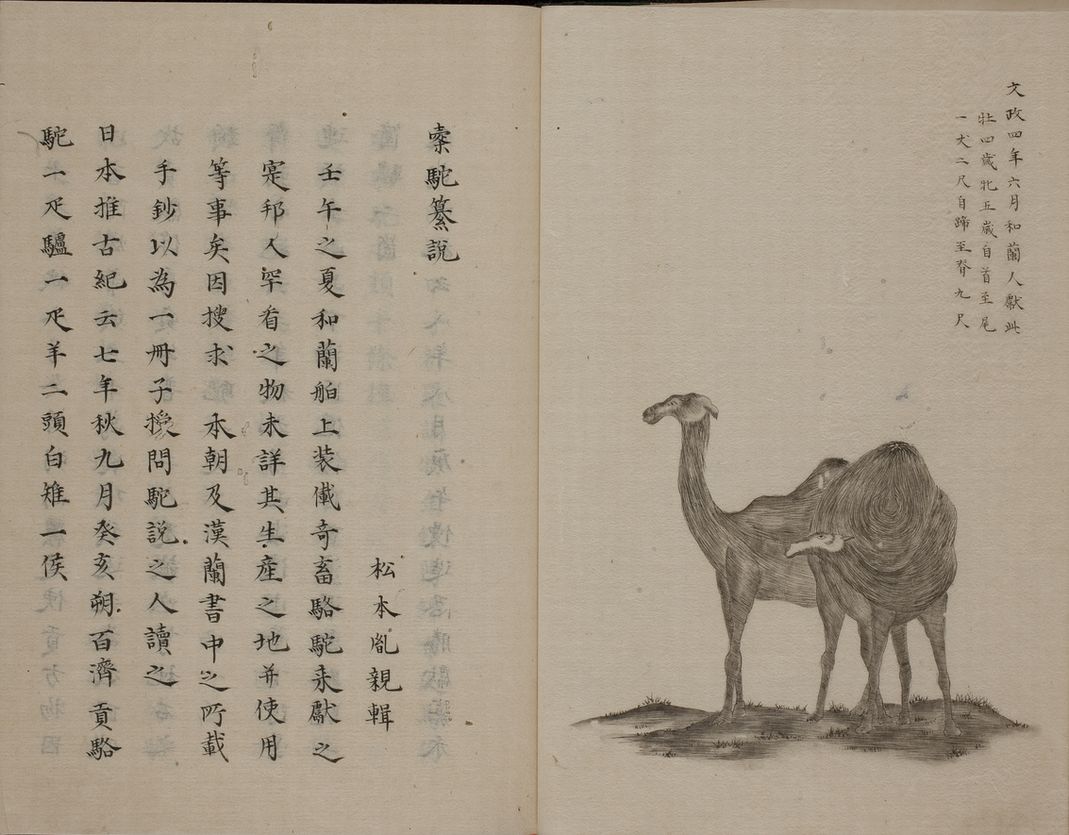 総合図書館貴重書展2011展示資料一覧