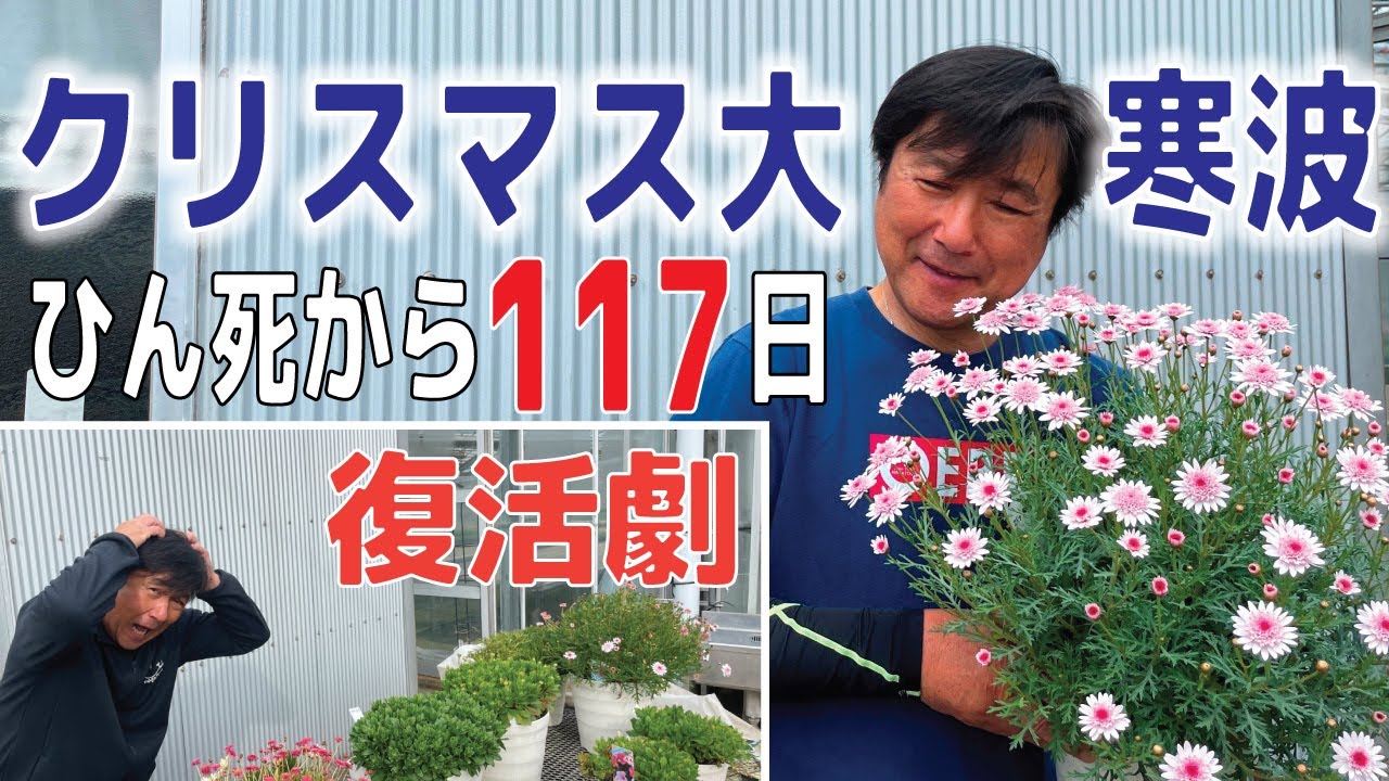 ふたたび栄光を勝ち取れるか！復活が期待されるタイガー・ウッズの凄さとは？ | ＢＳ松竹東急ゴルフ