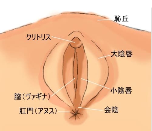 アナルセックスって気持ちいいの？気持ちいいやり方と準備や開発方法を伝授！！