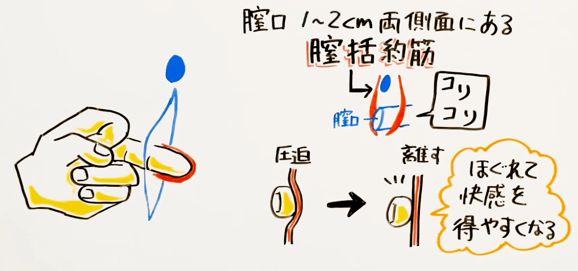 女性が本当に気持ちいい手マンのやり方！体験談つきで解説します | 割り切りセフレ掲示板