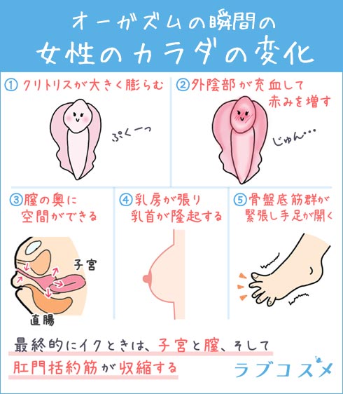 知らない人が多い？ 女性が「イク」時のサイン／ビッチ先生が教える一緒に気持ちよくなれるセックス講座⑦ | ダ・ヴィンチWeb