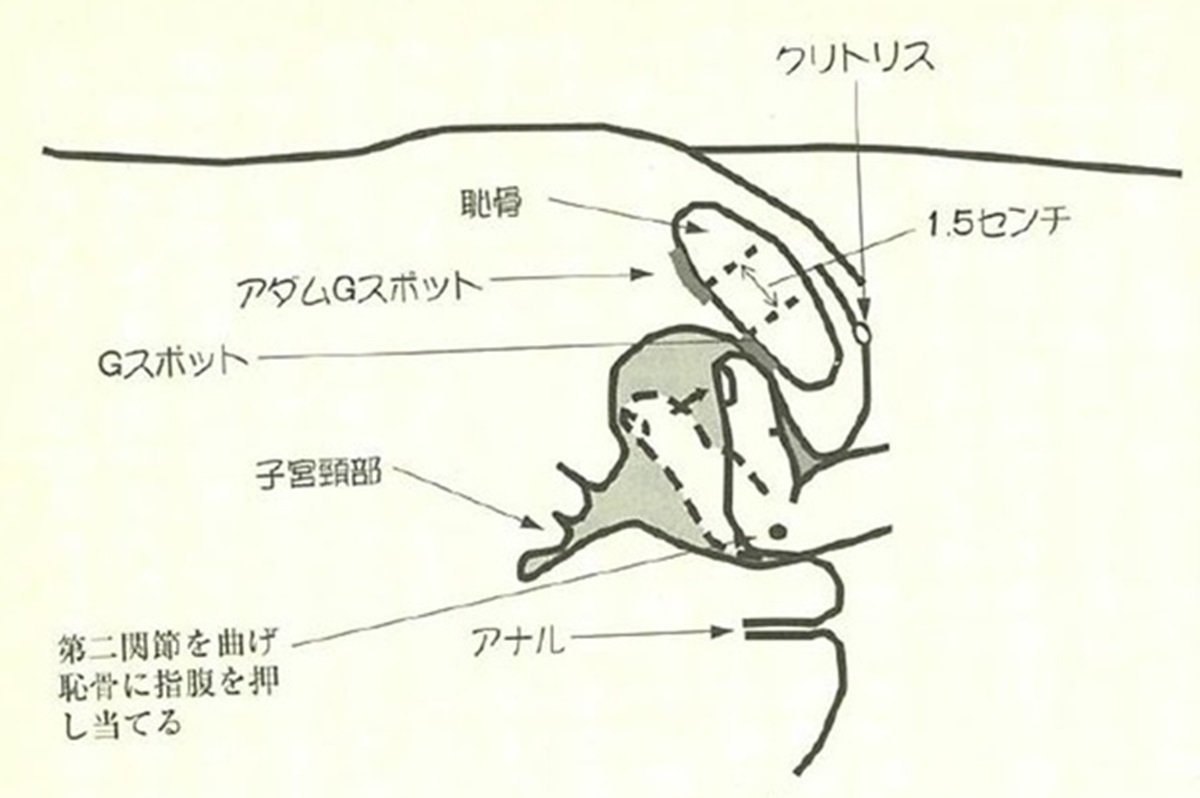 クンニリングスのやり方10選！イラストで解説する気持ちいいクンニのコツ｜風じゃマガジン