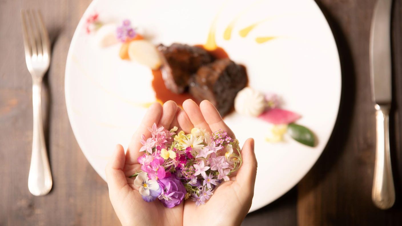 楽天市場 牛頬肉の赤ワイン煮込み- マッシュポテト付き- 簡単調理！RESTAURANT DOOR 送料込み: HUGEst.レストラン品質を食卓に